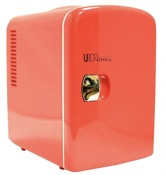 Best mini fridge 2024 MoneyCaptain